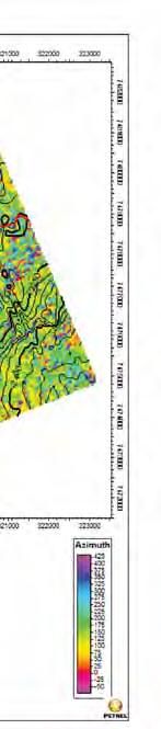 Para a confecção dos mapas de atributos sísmicos foram calculados os atributos volumétricos cubo sísmico carregado no Petrel.
