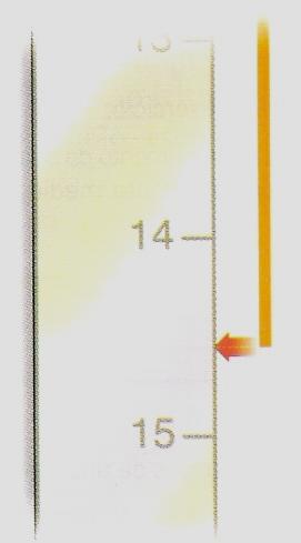 partes iguais, e, com isso, o algarismo 6 em 14,6 cm, seria o primeiro algarismo avaliado.