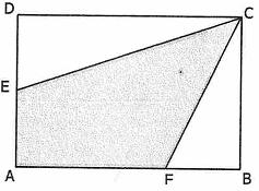 3) No retângulo ABCD da figura abaixo, E é ponto médio de AD, e a medida de FB é igual a um terço da medida de AB.