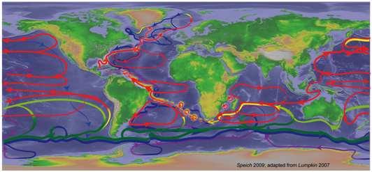 A Oceanografia no Brasil Perspectivas para a próxima década Edmo Campos Universidade de São Paulo