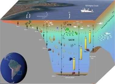 Strategic interest for the marine conservation in the South Atlantic and Equatorial regions and for a sustainable