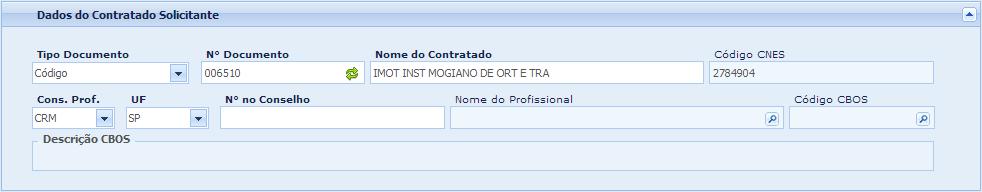 14 6.3. Painel Dados do Executante Todos os campos deste painel são preenchidos automaticamente pelo Portal Autorizador, conforme o mostrado na Figura 13 abaixo.