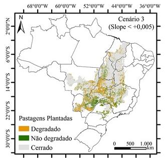 CENÁRIO CENSO AGROPECUÁRIO 2006: