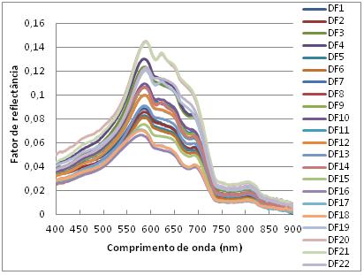 Corazza et al. o transporte de sedimentos e nutrientes para o corpo hídrico, diminuindo, por consequência, a transparência da água.