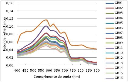 A feição de absorção próxima aos 675 nm presente nos espectros é característica do pigmento fotossintético Chl-a, que absorve fortemente neste comprimento de onda para a realização da fotossíntese