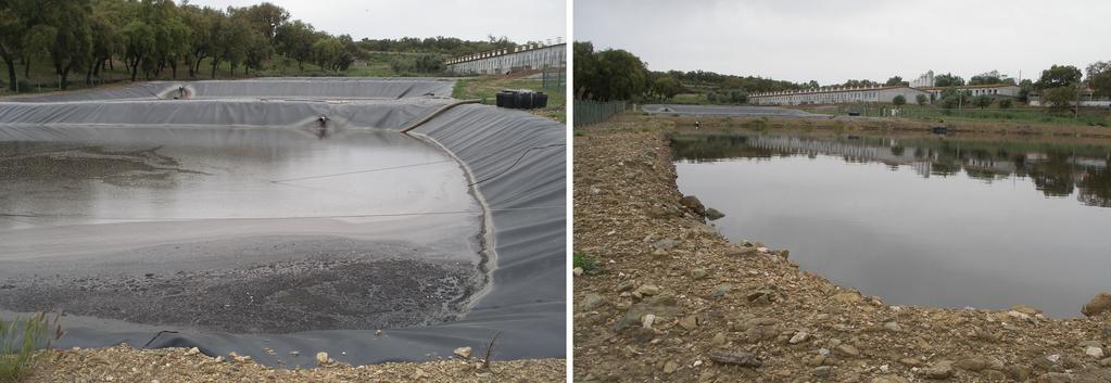 O efluente pecuário, após saída do tamisador, é encaminhado para a primeira lagoa até atingir a sua capacidade máxima de armazenamento.