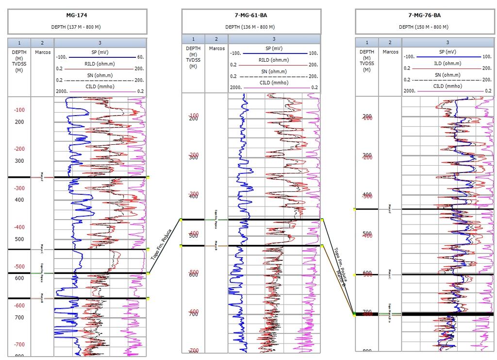 Seção Estratigráfica