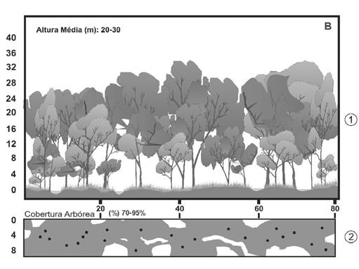Quase sempre é circundada por faixas de vegetação não florestal em ambas as margens, havendo uma transição brusca com formações savânicas e com os campos (RIBEIRO e WALTER, 1998), conforme pode ser