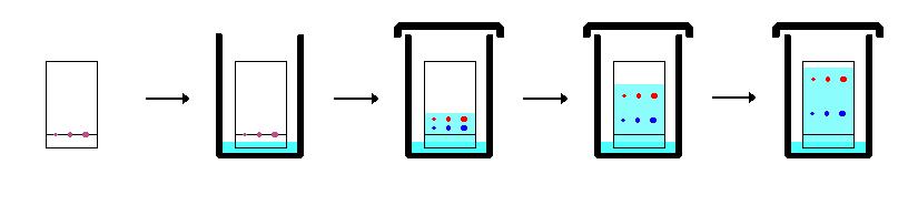 Cromatografia em Camada Delgada Consiste na separação dos componentes de uma mistura através