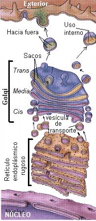 Interação