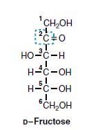 Maltose = glicose +