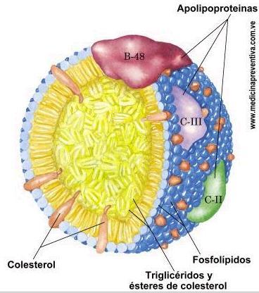 Colesterol Densidade núcleo lipídico: