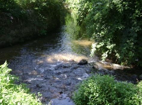 ambiental Jardins,