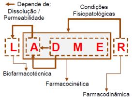 Determinação quantitativa no sangue,