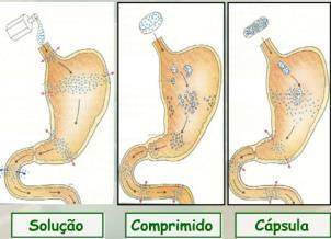 Barreiras: Solubilidade em meio aquoso Permeabilidade de membrana Sistema de Classificação Biofarmacêutica Fatores fisiológicos Fatores farmacêuticos