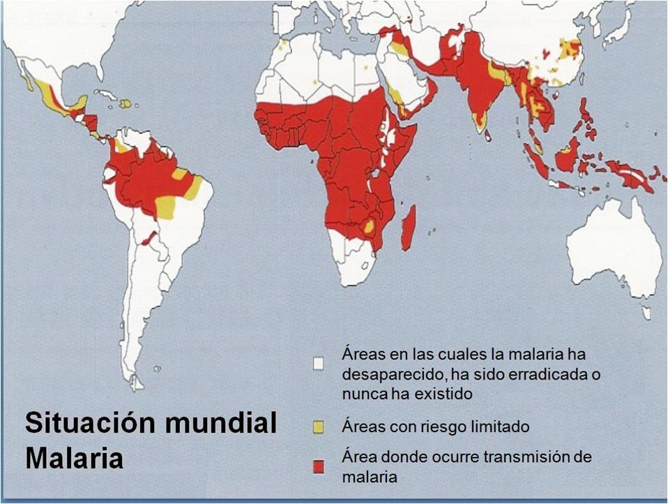 Situação mundial Áreas nas quais a malária desapareceu ou nunca
