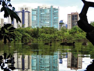 Licenciamento Urbano Um dos grandes gargalos do desenvolvimento no Brasil tem sido o licenciamento urbano de obras, principalmente nos grandes centros do país.