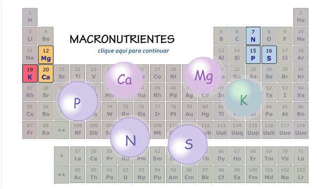 Em seguida, informe que de acordo com a lei do cientista Justus Von Liebig, Lei do mínimo, os elementos em menor quantidade no ambiente limitam a taxa de crescimento das plantas, neste sentido, o