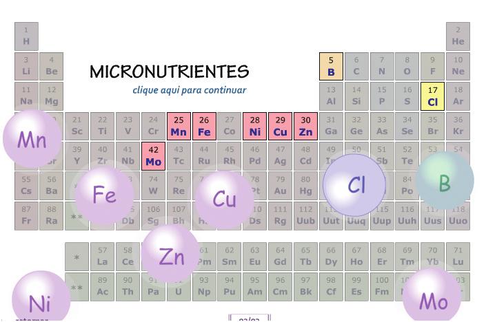 Portanto, peça aos alunos para relacionar a máxima da lei de Liebig com a informação de que o solo seria o compartimento que menos contribui na composição da planta.