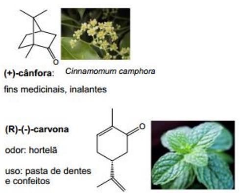 ÁIDS ARBXÍLI: São compostos orgânicos que apresentam um grupo carbonila