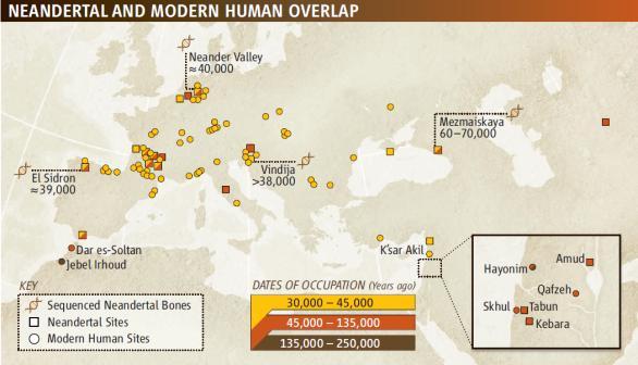 Genomas extintos: Neandertal Genoma do Neandertal Homens modernos e Neandertais coexistiram na Europa pelo menos 15.