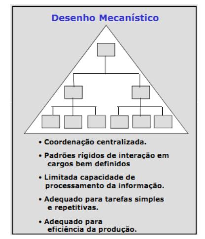 DESENHOS ORGÂNICOS Proporcionam autoridade descentralizada, poucas regras e procedimentos, pouca