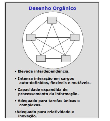 As organizações orgânicas ou adaptativas operam com um mínimo possível de características