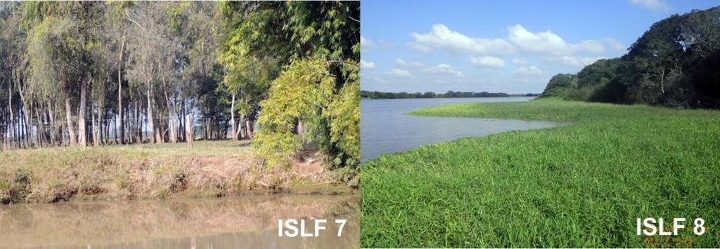 submersas e assim a água chegar direto na vegetação acima da escarpa, aumentando o ISLF do local.