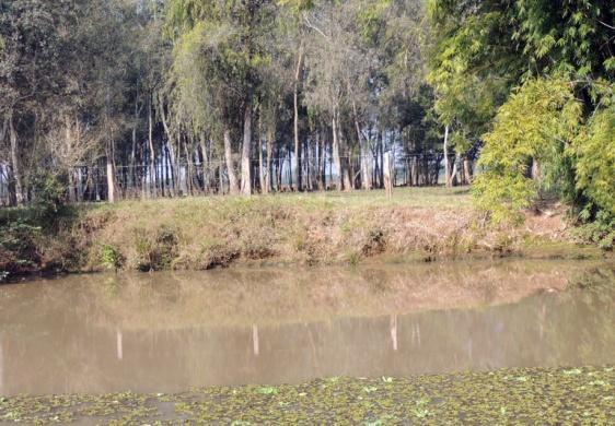 Escarpas Vegetadas ISLF 7 Descrição: As escarpas vegetadas possuem características semelhantes com o ISLF 3, mas possuem uma alta sensibilidade ambiental devido a presença da vegetação; Formadas por