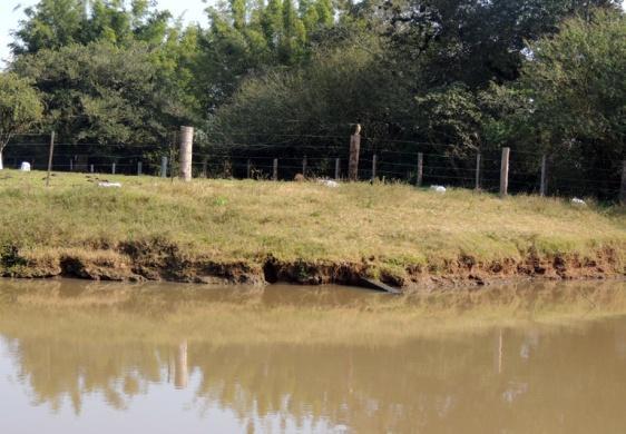 encontrada no Canal do Lajes; Comportamento potencial do óleo / Ações de resposta: A presença de vegetação nas escarpas indica baixa energia do rio e lenta taxa de limpeza natural; Penetração do óleo