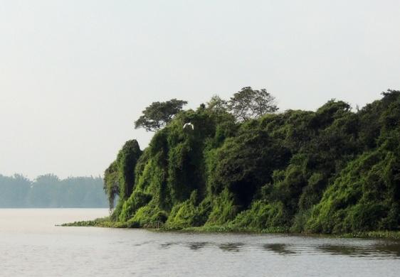 água; Ações de contingência precisam proteger estes ambientes com barreiras já que os potencias impactos com a limpeza do ambiente são grandes; Atividades de limpeza