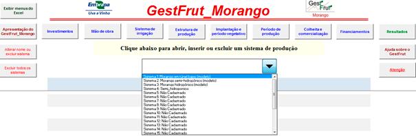 Essa tela apresenta três ícones: Desenvolvimento, que traz detalhes sobre a equipe e a instituição responsável pelo desenvolvimento do sistema; Apresentação, onde são apresentados os objetivos e as