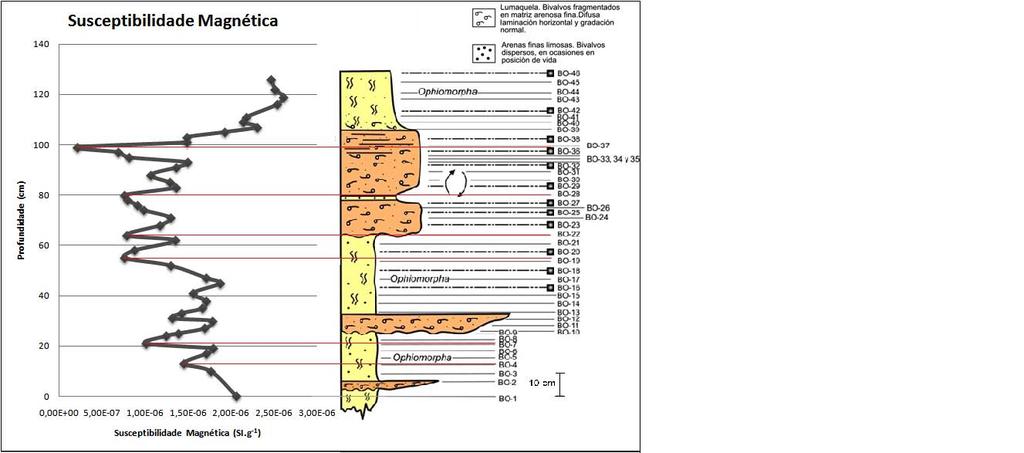 Fig.6 Susceptibilidade Magnética em função da altura dos sedimentos (esquerda) e representação esquemática da estrutura geológica (direita). Da análise do gráfico de susceptibilidade na Fig.