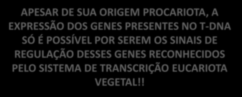 OS SINAIS DE REGULAÇÃO DESSES GENES RECONHECIDOS