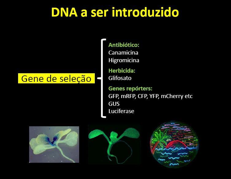 TRANSFORMAÇÃO