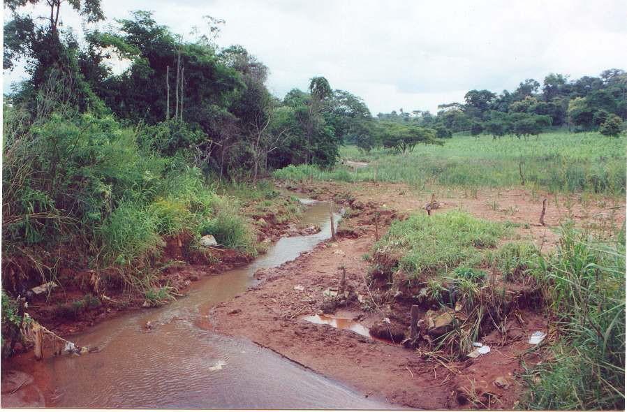 RESPONSABILIDADE ADMINISTRATIVA EXEMPLO... VEGETAÇÃO Lei Federal 4.771/65 (Código Florestal) Art.