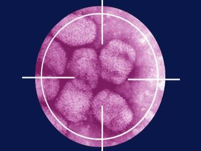 O INÍCIO Cenário Epidemiológico 1970 Doença nº de casos Coef. Incidência (100 mil hab) Poliomielite 11.545 12,4 Varíola 1.