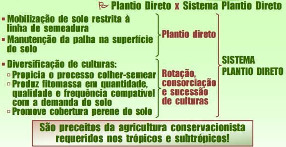 Sistema de produção Compreende o arranjo no espaço e no tempo de espécies vegetais e/ou animais componentes dos sistemas agrícolas produtivos.