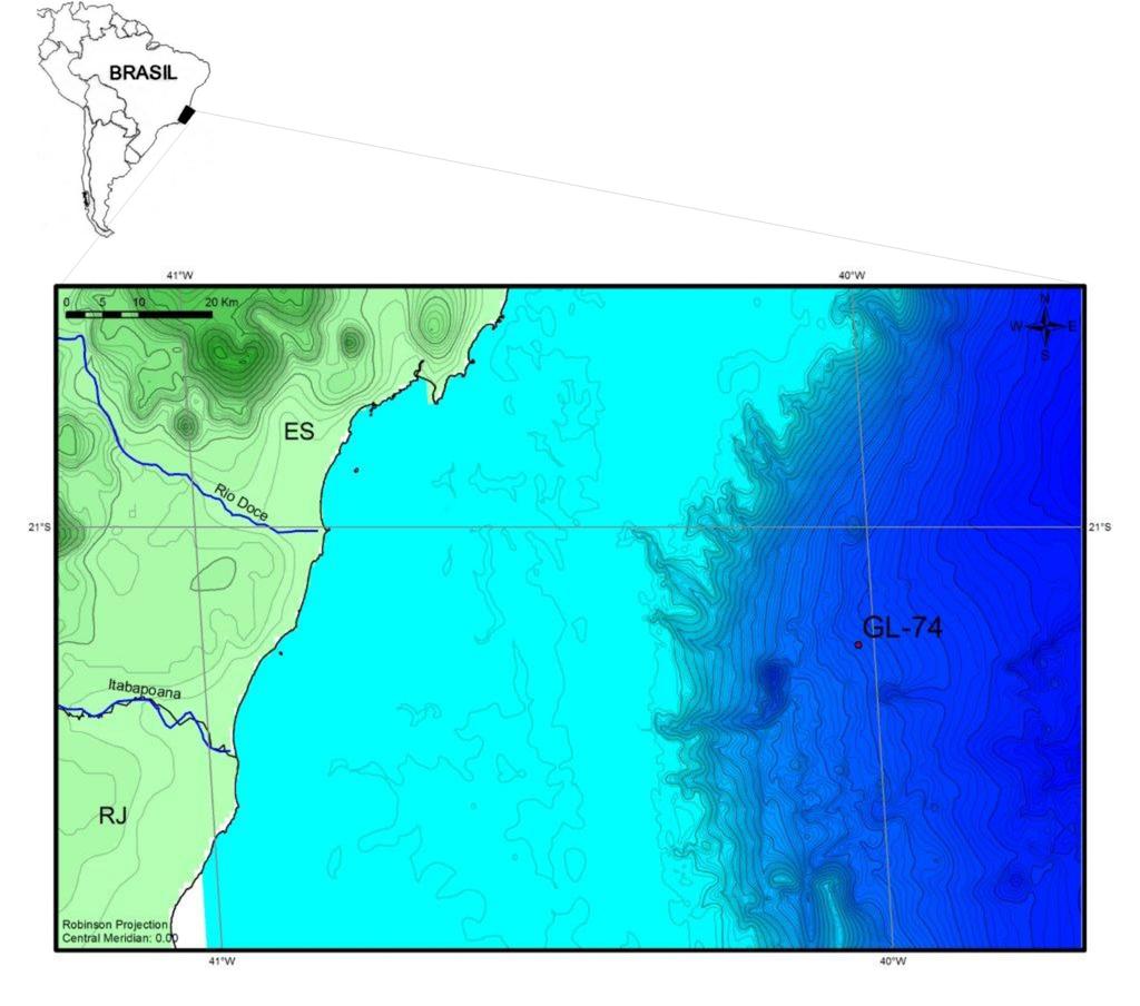 preliminar do testemunho foi feito com base em cálculos de interpolação linear entre amostras datadas por 14 C AMS (após calibração) e Bioestratigrafia de foraminíferos planctônicos.