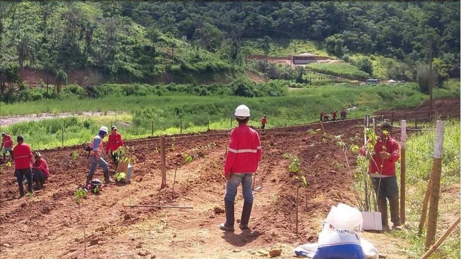 Revegetação, enrocamento e outros métodos: recuperação do Rio Gualaxo do norte - Águas Claras (MG) Início do plantio de mudas de