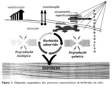 Fatores que afetam a sorção de um herbicida no solo: -