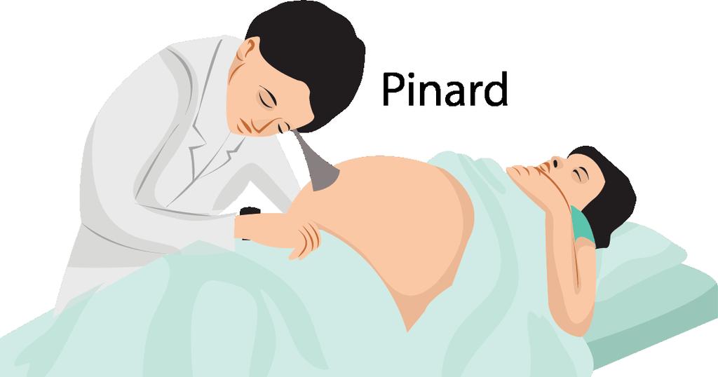 2.5.4.1 Ausculta dos batimentos cardíacos fetais (BCF) Ausculta dos batimentos cardíacos do feto pode ser realizada com Sonar Doppler, após 12 semanas, ou com estetoscópio de Pinard, após 20 semanas.