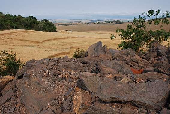 Paleontologia Ao lado da rodovia Transbrasiliana existem áreas de possível