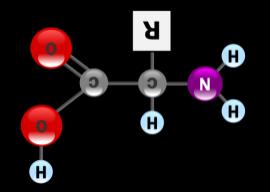 Nucleotídeos e aminoácidos
