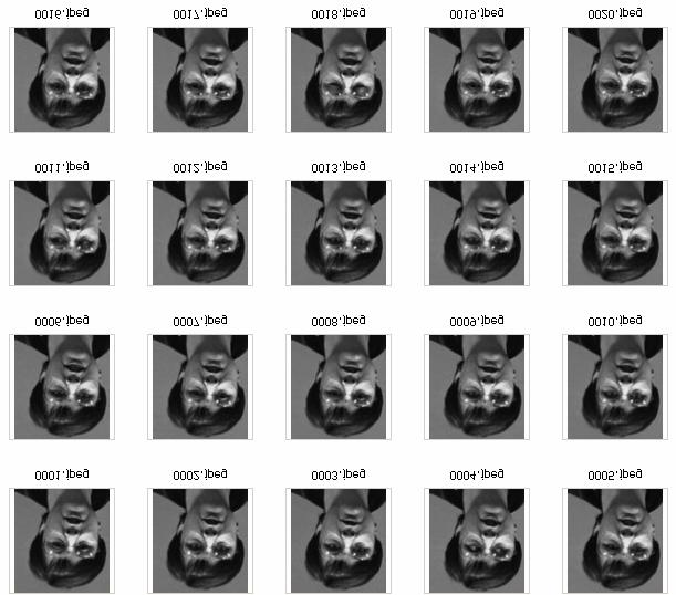 CAPÍTULO 6. IMPLEMENTAÇÕES DOS ALGORITMOS E RESULTADOS 107 Figura 6.23 Amostra de variações de imagens da base Essex referente a 1 (uma) classe. 6.3.6 Resultados dos testes referentes à aplicação da técnica Wavelets e PCA com a base de imagens Essex (2640 imagens).