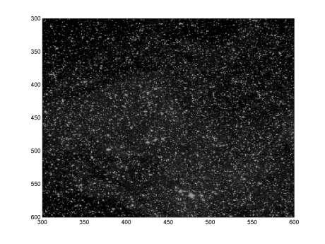 Pré-processamento das imagens Equalização de intensidades