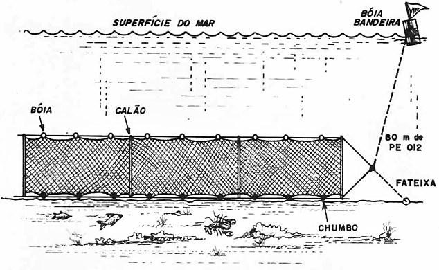 Ceará, o uso da rede de emalhar, adaptada para a pesca de fundo 10, vulgarmente conhecida como "caçoeira" (Figura 4).