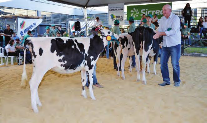 09 Momentos Marcantes Agroindústrias familiares A participação