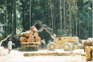 Manejo, valorização e valoração de