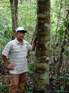 Amazônia,